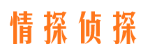 市中区市私家侦探